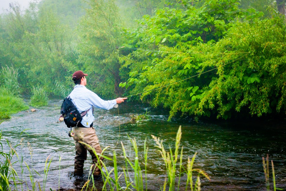 Fly Fishing in Northeast Iowa