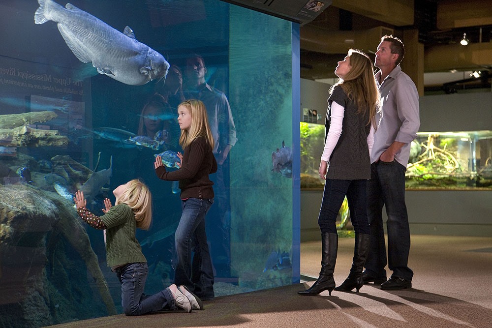 Kid-Friendly Museums: National Mississippi River Museum and Aquarium, Dubuque
