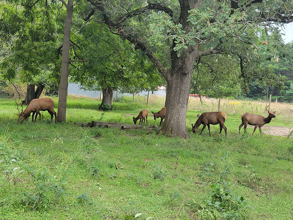 Hickory Hills Park; La Porte City, Iowa