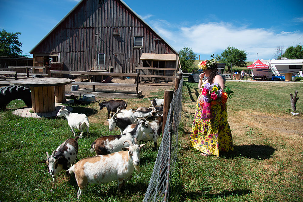 Windy Goat Acres; Chelsea, Iowa