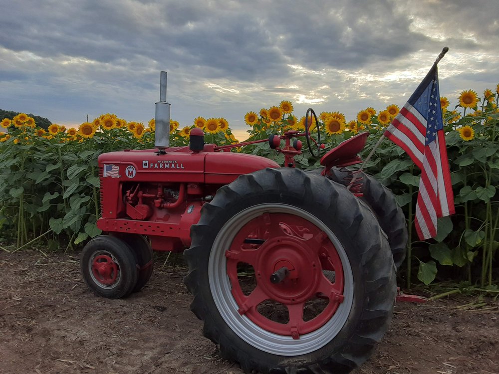 Pheasant Run Farm, Belle Plaine Iowa 