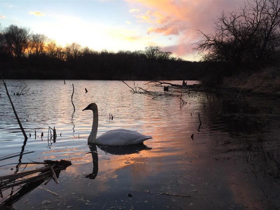 Viking Lake State Park, Stanton, Iowa