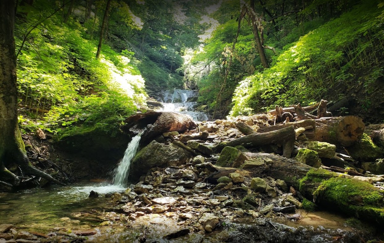 Iowa Waterfalls: Big Springs Park, Guttenberg