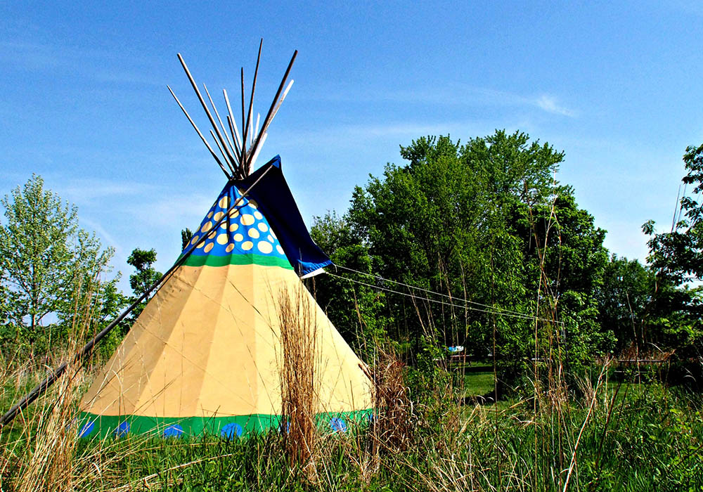 Escape to the Wildwood: Iowa's Hidden Gem for Camping Adventures