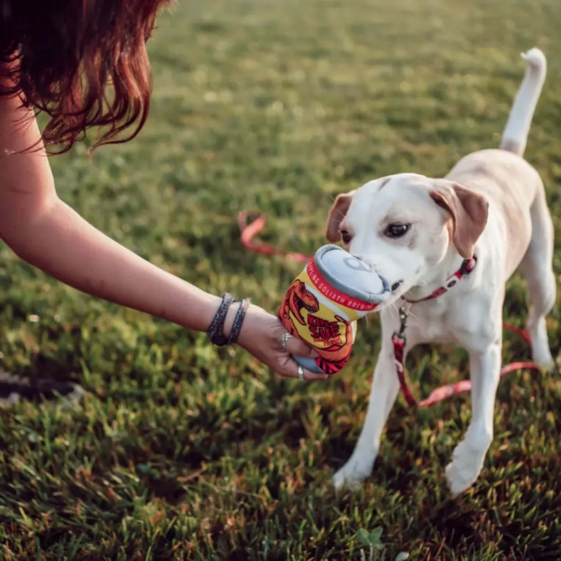Pet-Friendly Wineries, Breweries & Distilleries