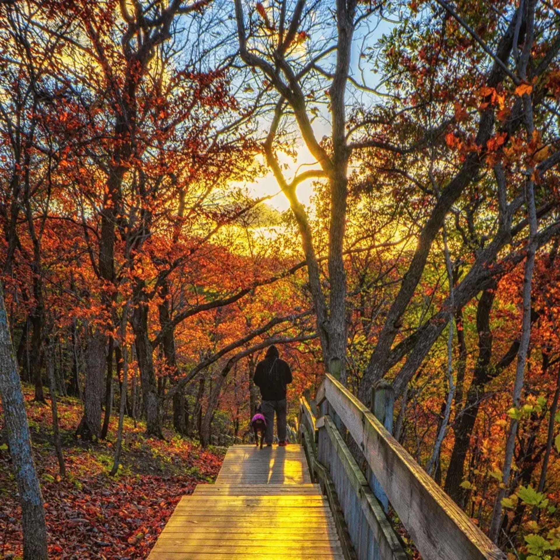 10 Must-Visit Fall Attractions