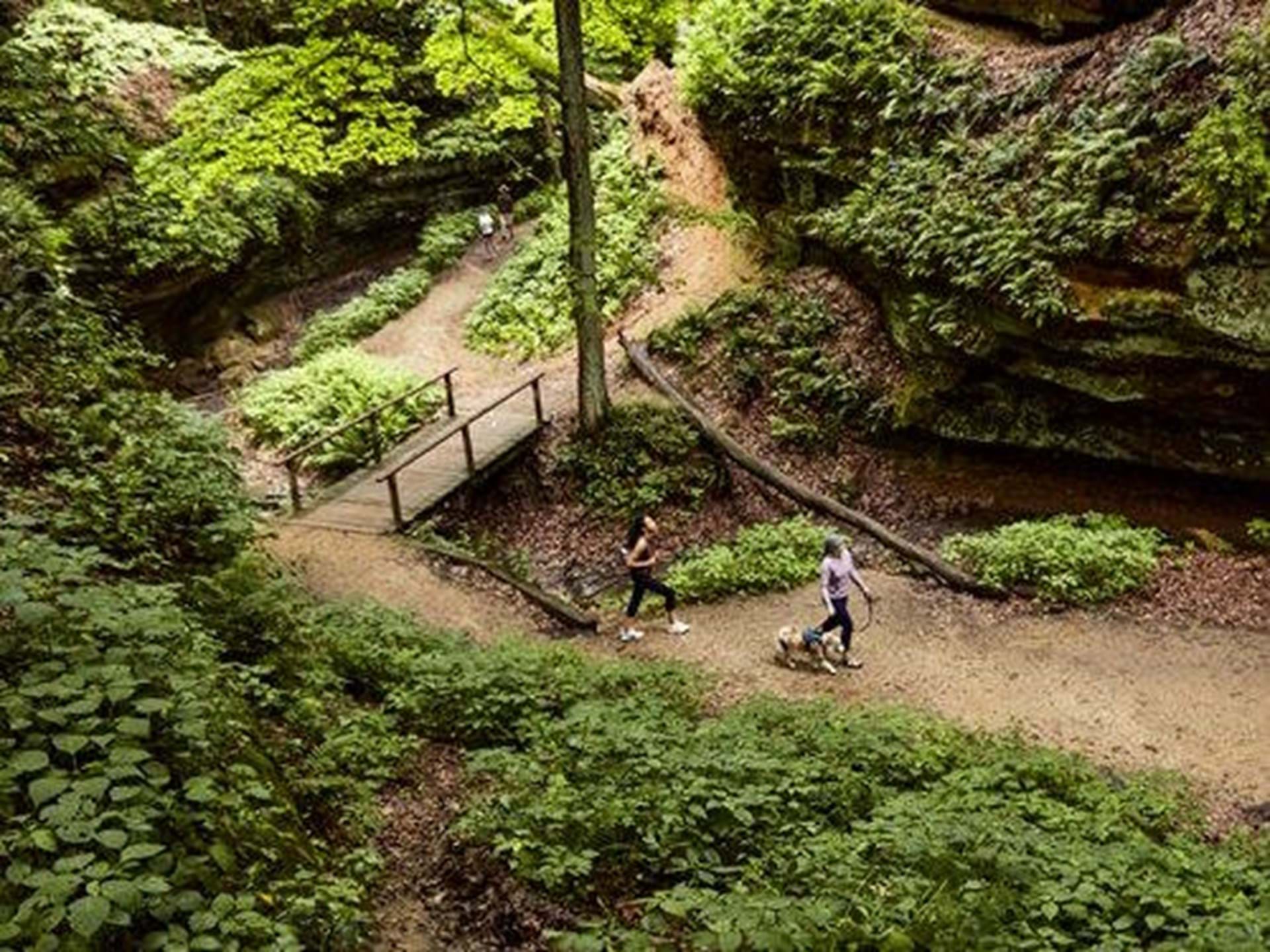 These Iowa Hiking Trails and Breweries are the Perfect Pairings