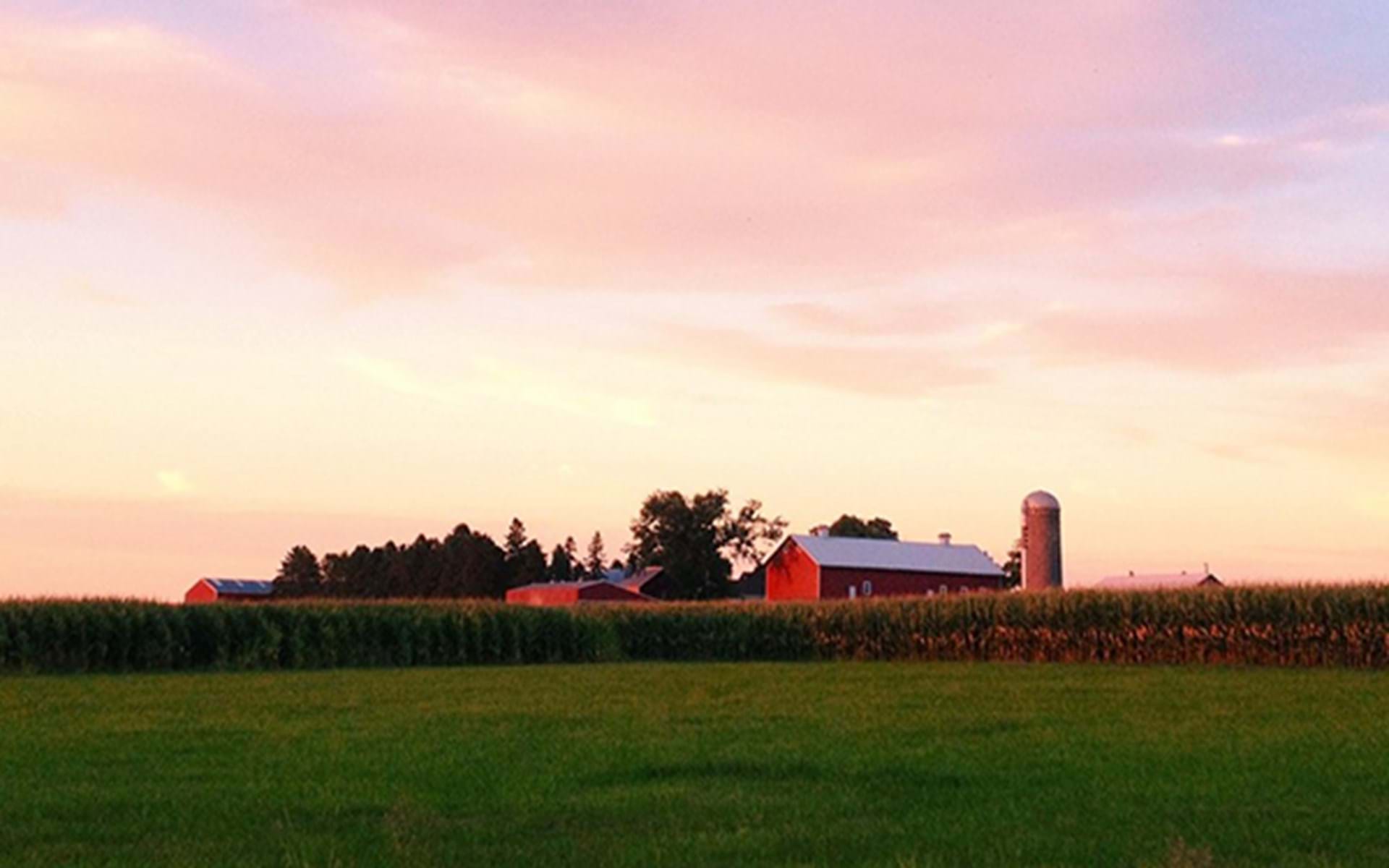 Three Pines Farm: Glamping on the Prairie