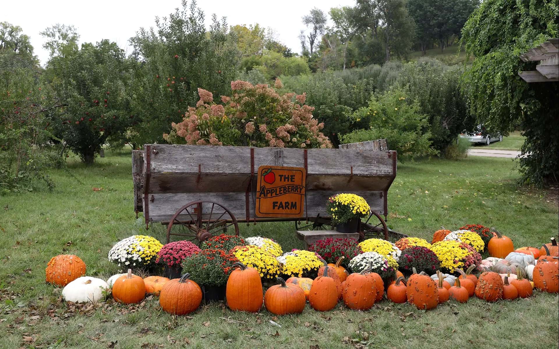 How to Spend 48 Hours in Marshalltown 