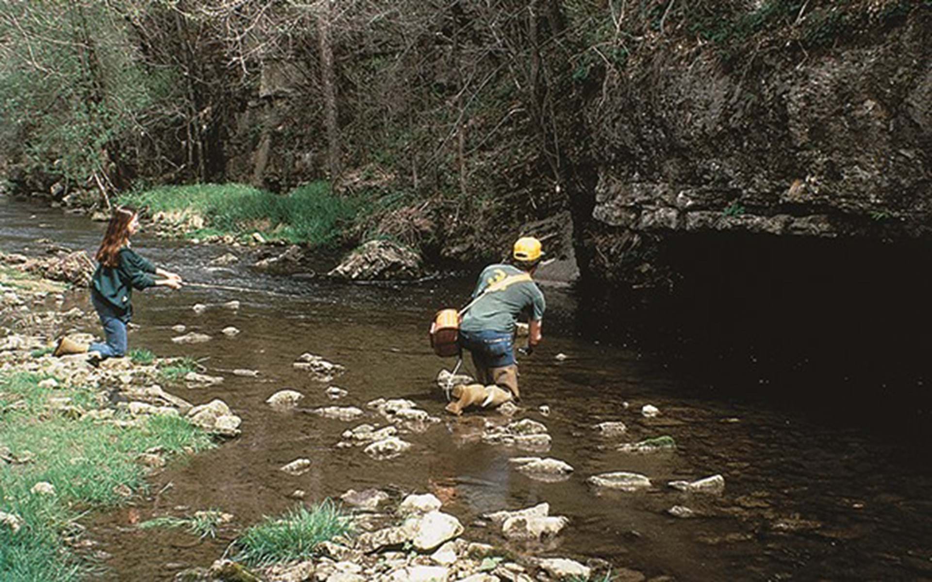 Hunting & Fishing Licenses