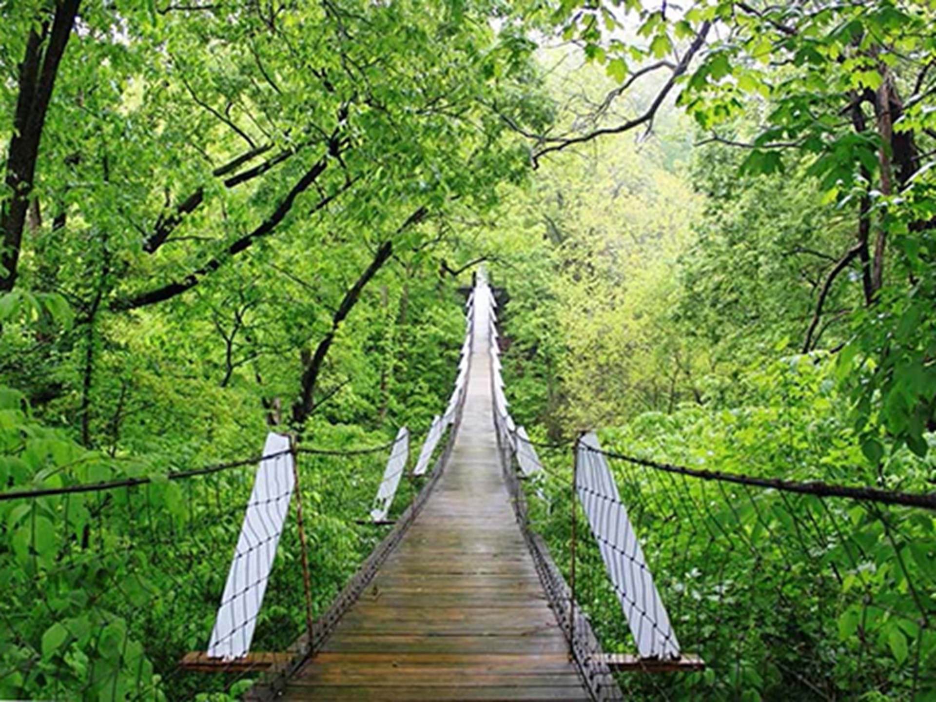 24 Uniquely Iowa Attractions