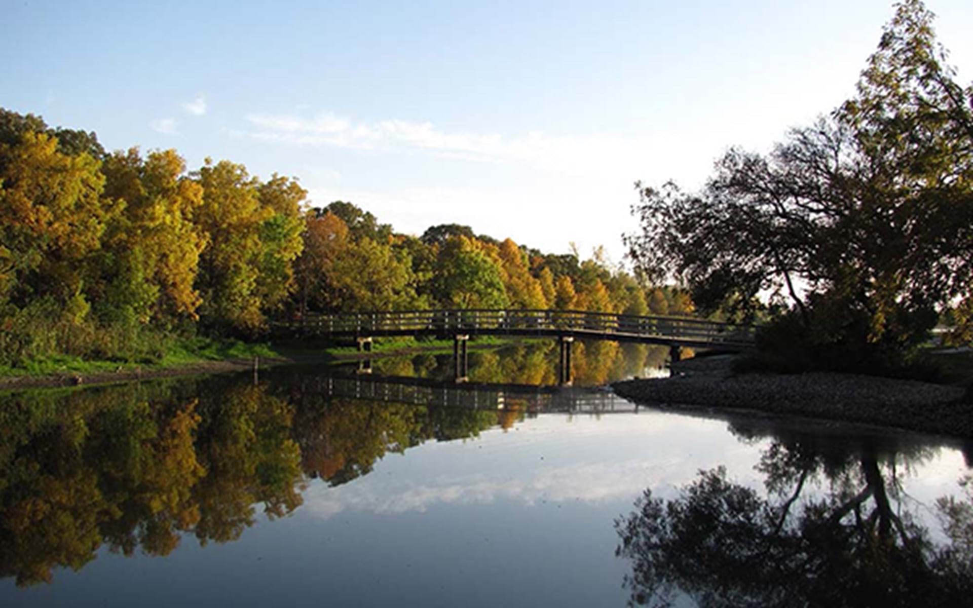 6 Parks for the Amphibian