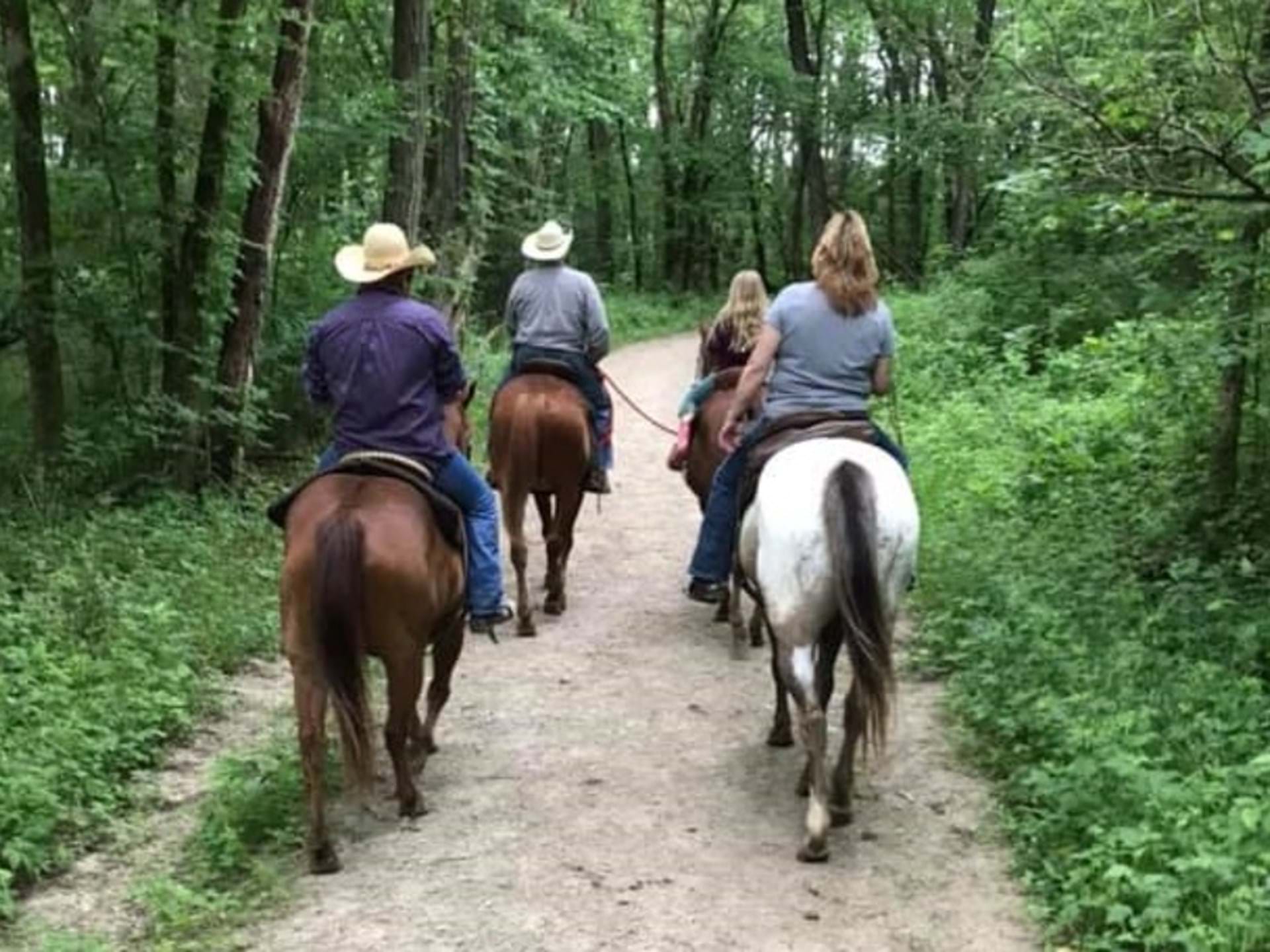 Rent a Horse Farmington, Iowa Travel Iowa