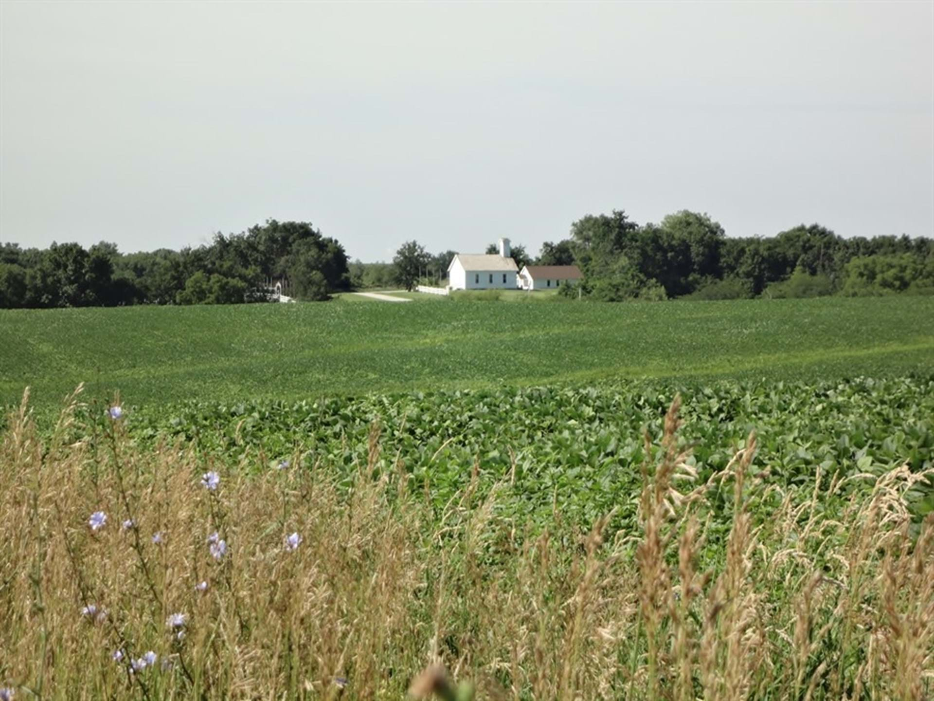 View of the remains of Livingston from across a rolling field