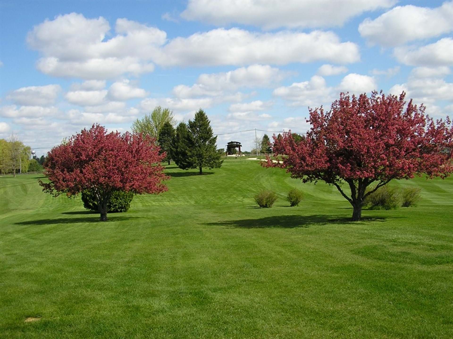 Waverly Golf Country Club Waverly Iowa Travel Iowa