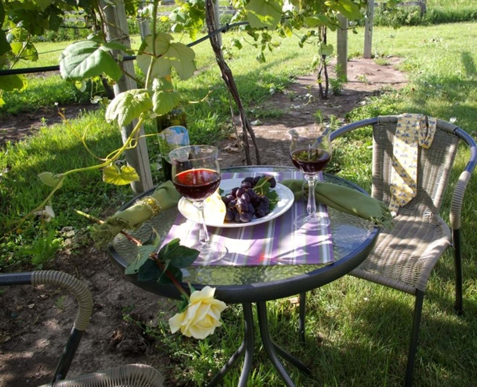 Prairie Crossing Vineyard & Winery Treynor, Iowa Travel Iowa