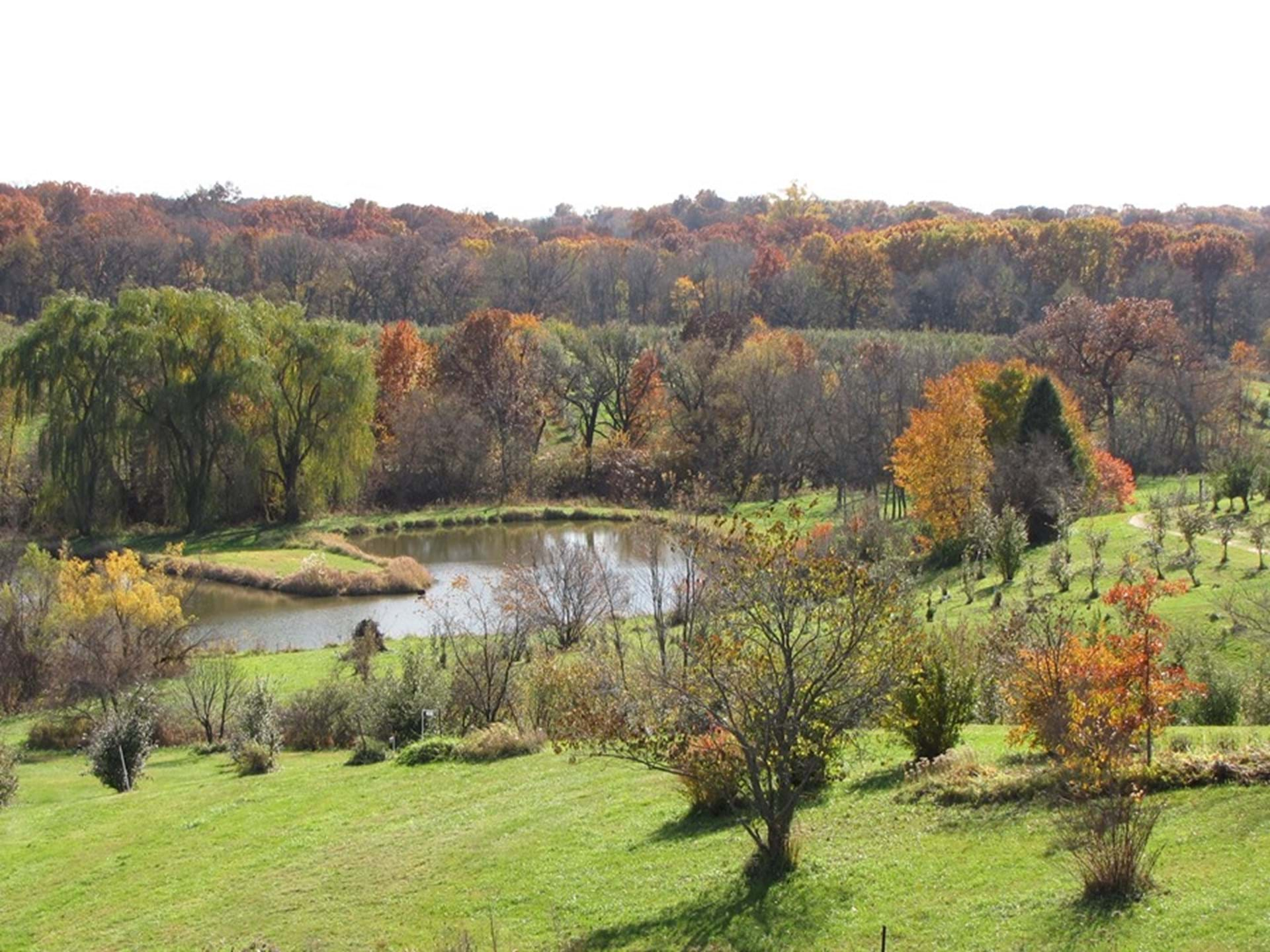 3rd Annual Dingleberry Dash at Wilson's Orchard & Farm - Think Iowa City