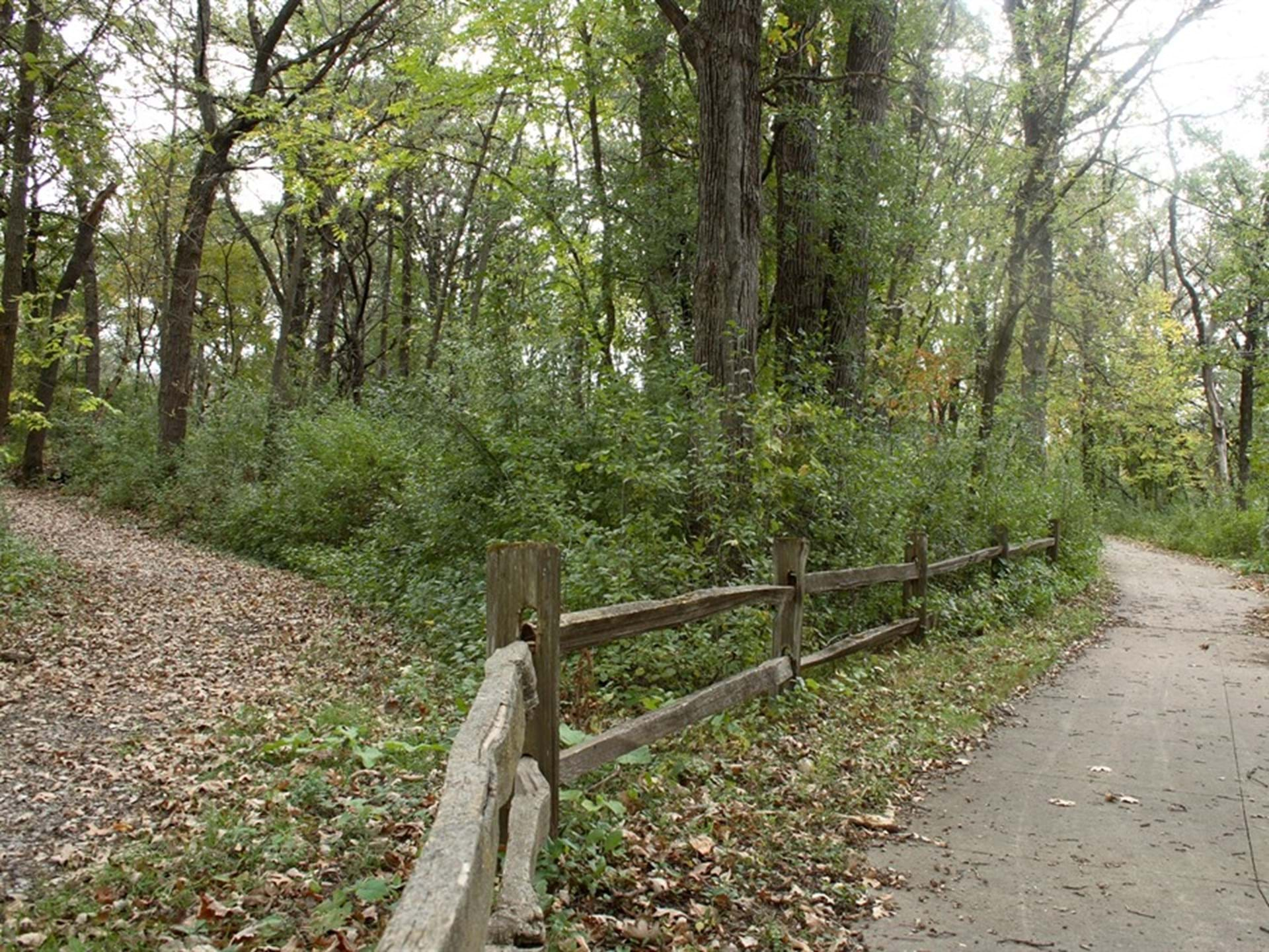 Lime Creek Nature Center