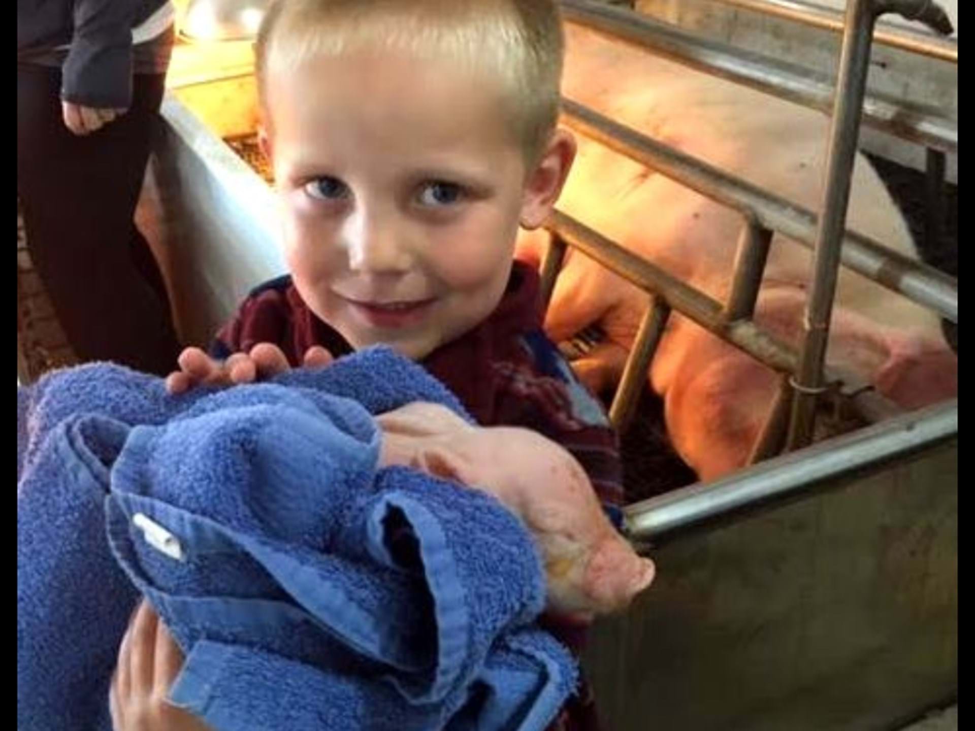 This guy is pretty excited to hold a newborn pig!