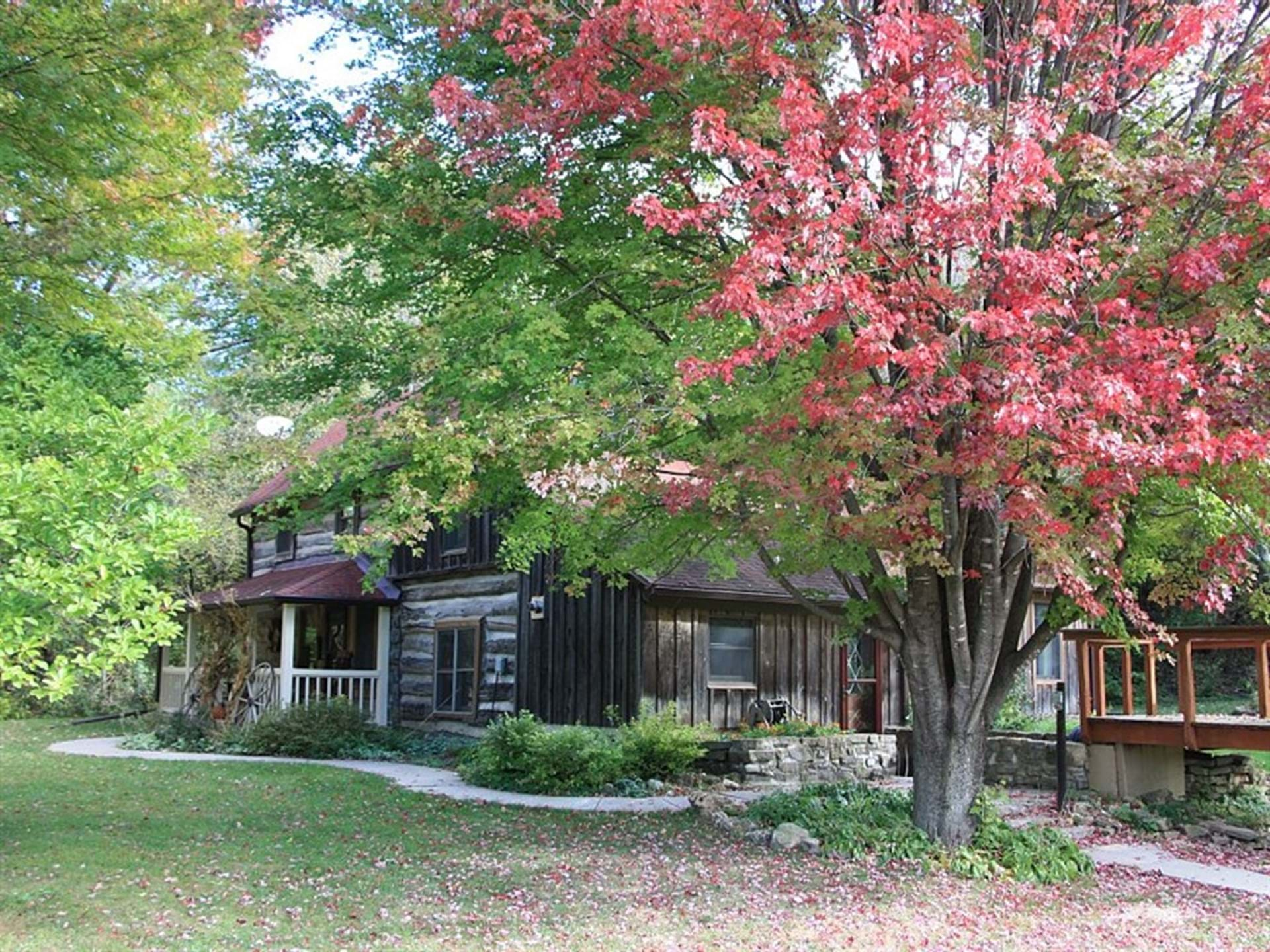 Clear Creek Cabin