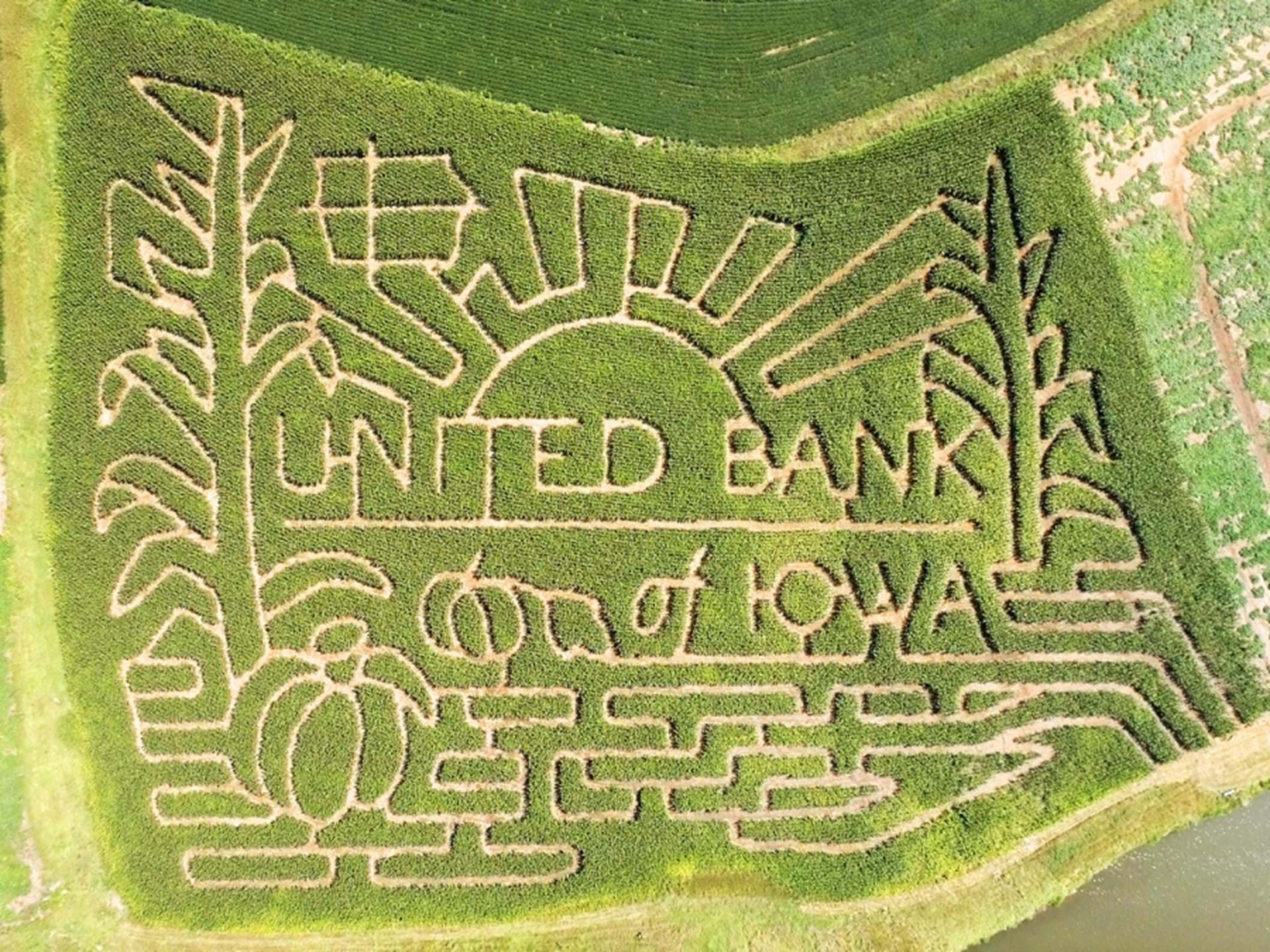 2018 Corn Maze