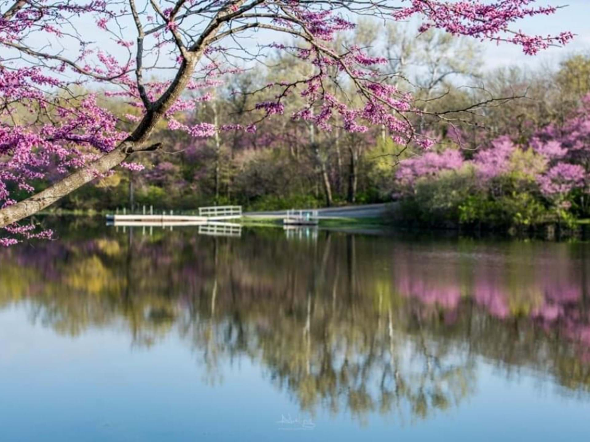 Red Haw State Park, Chariton, IA