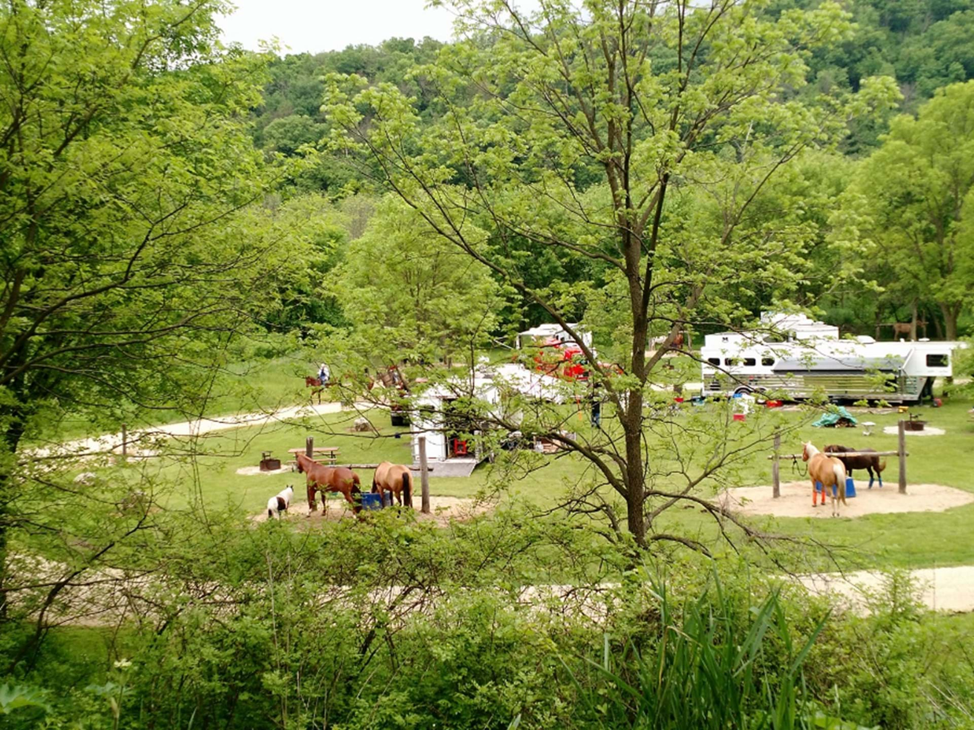 Yellow River State Forest