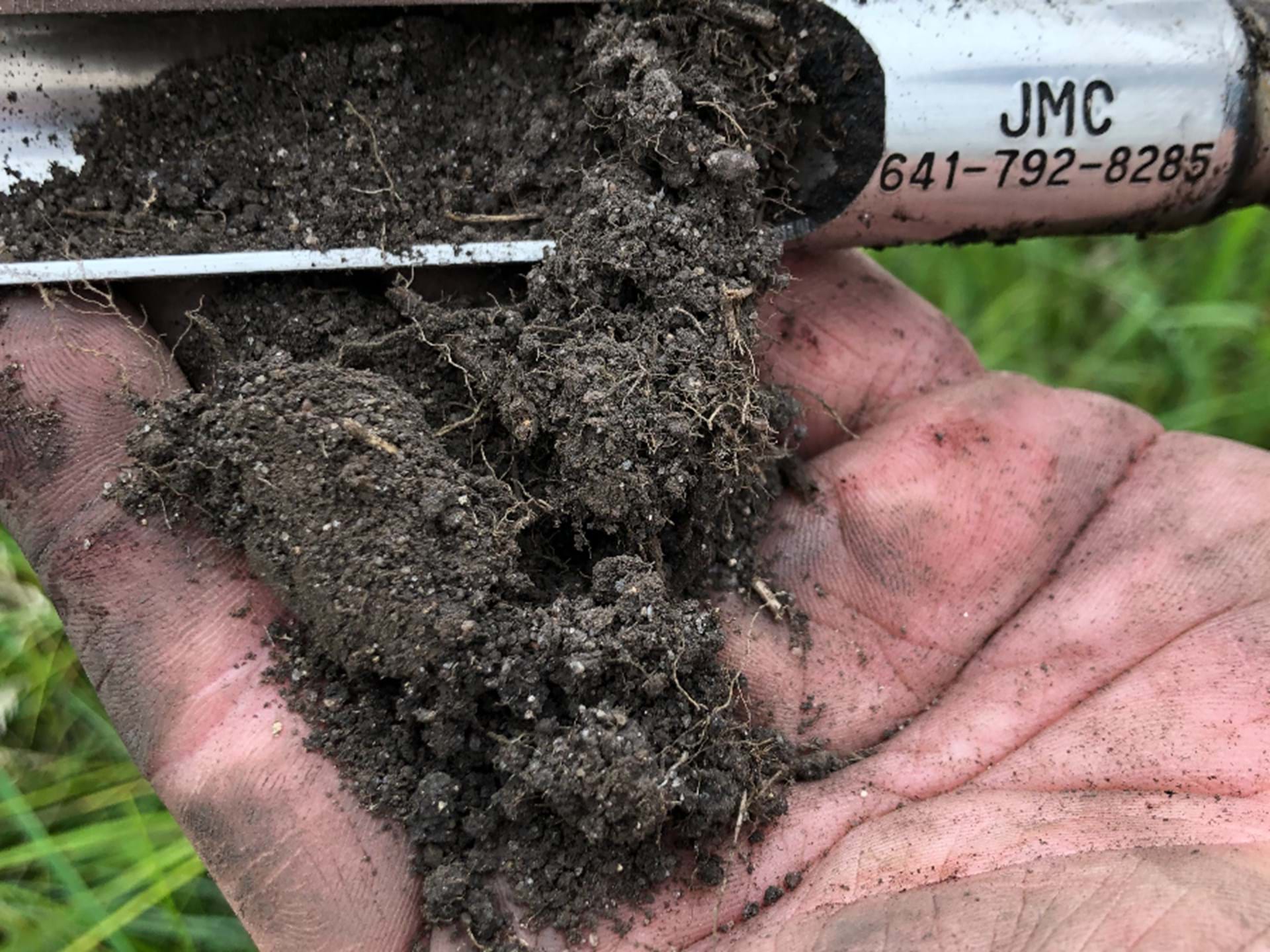 Organic Material in the soil