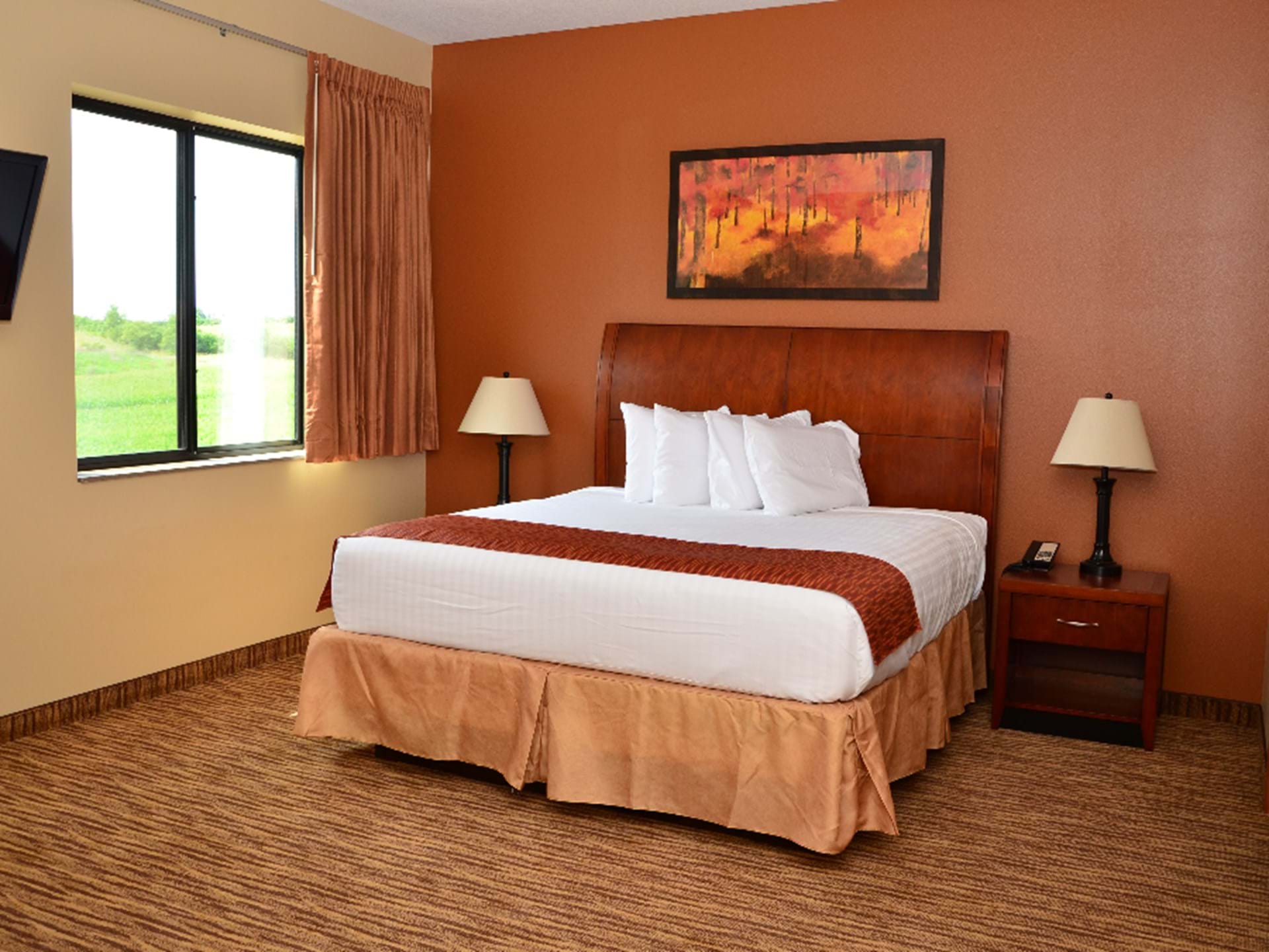 Single King Guestroom