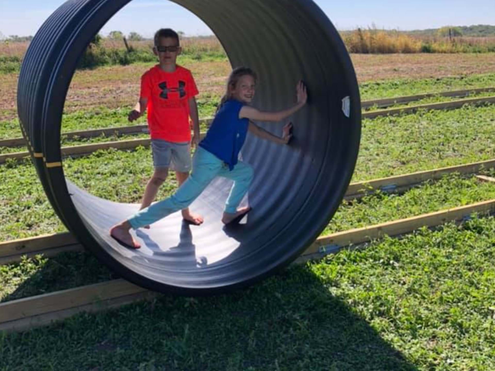Human Hamster Wheel