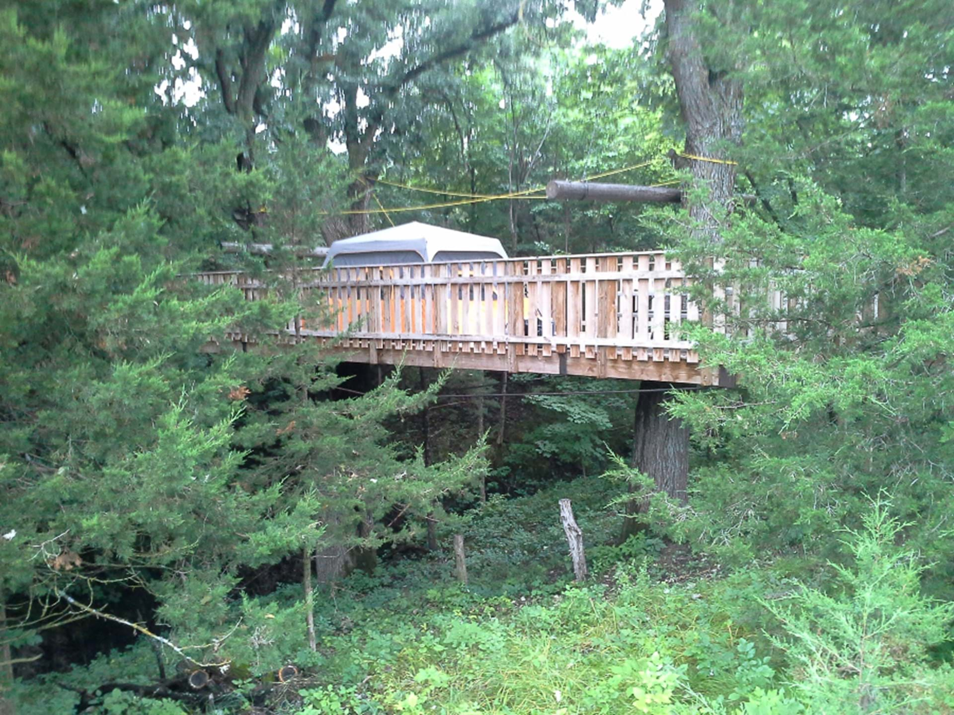 Welcome to Tree Camping