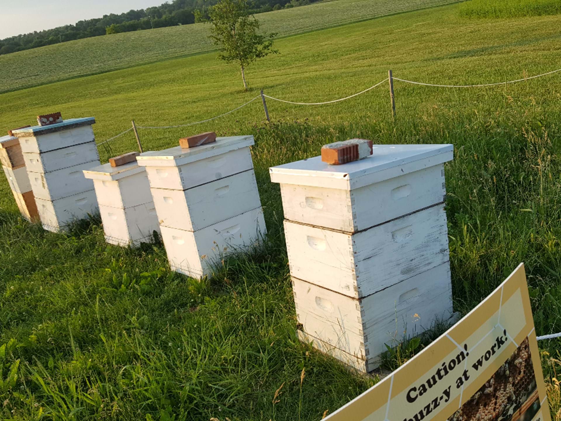 Cedar Valley Arboretum & Botanic Gardens Waterloo, Iowa Travel Iowa