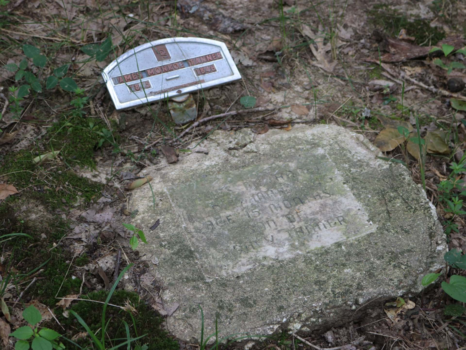 James M Tanner Grave