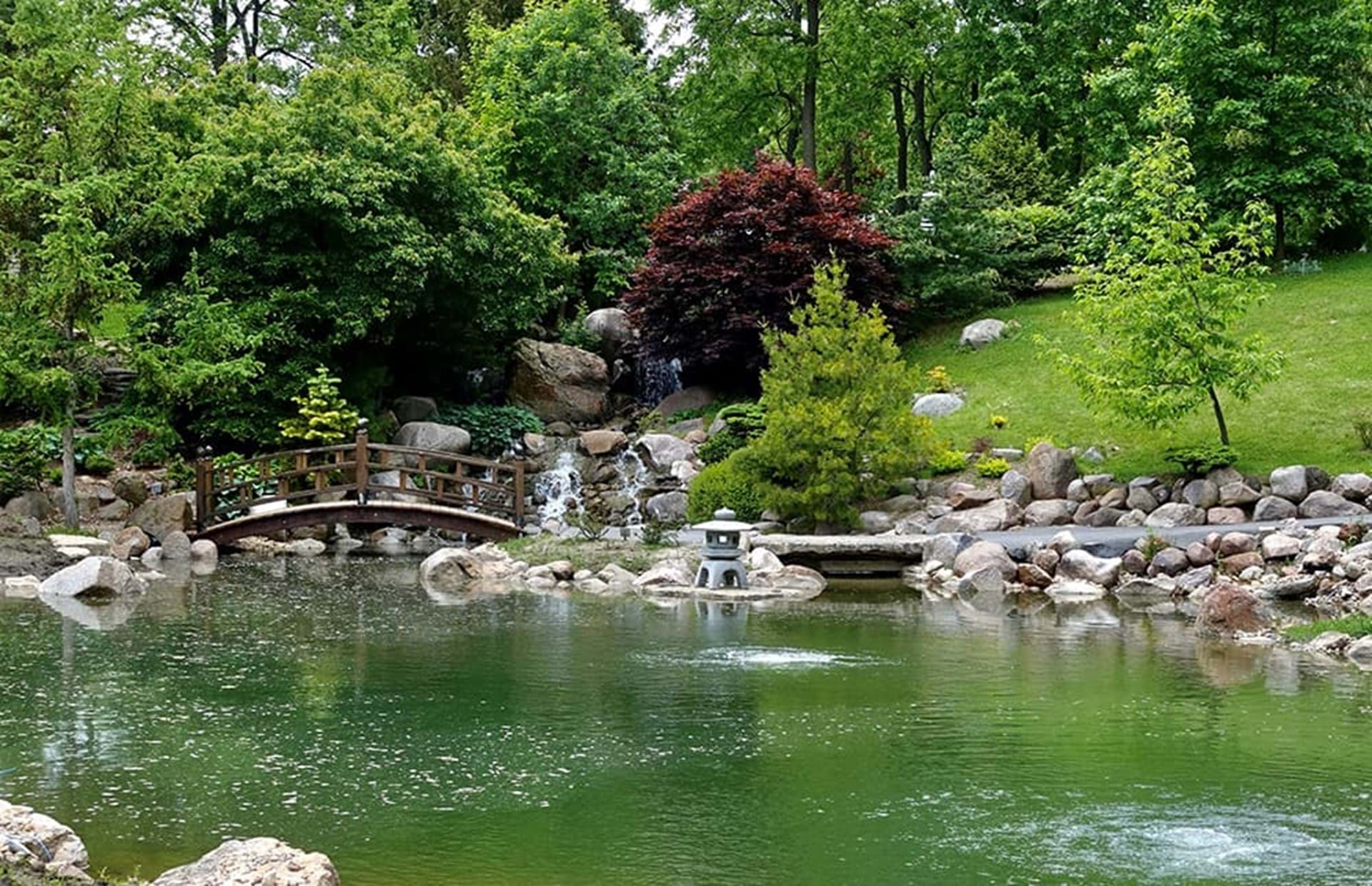 Japanese Garden and Koi Pond