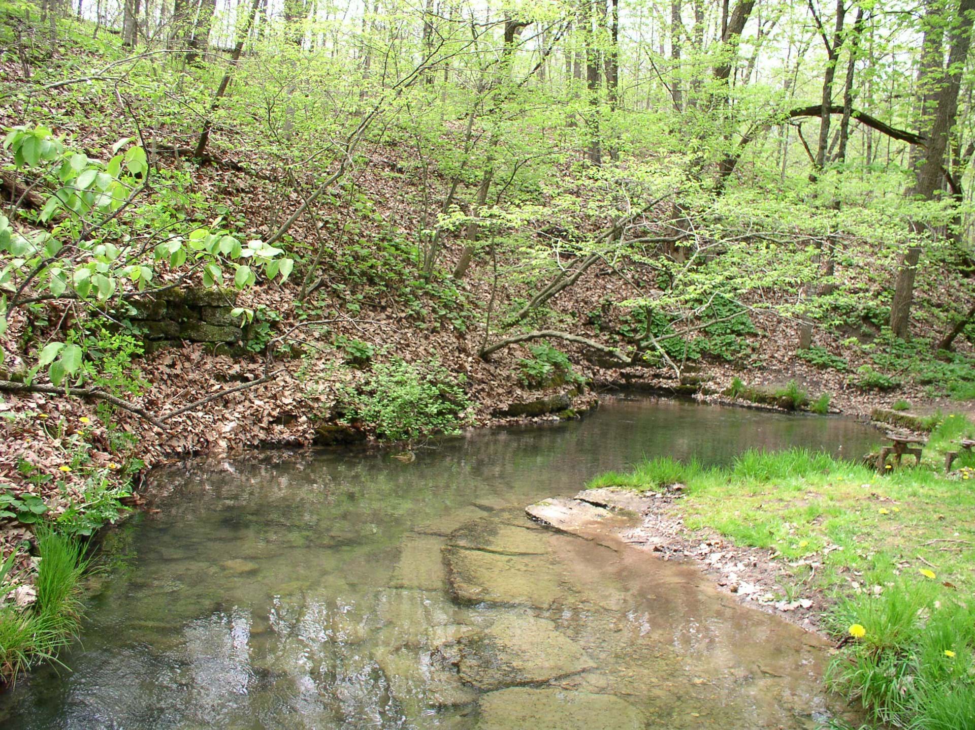 Twin Springs Park