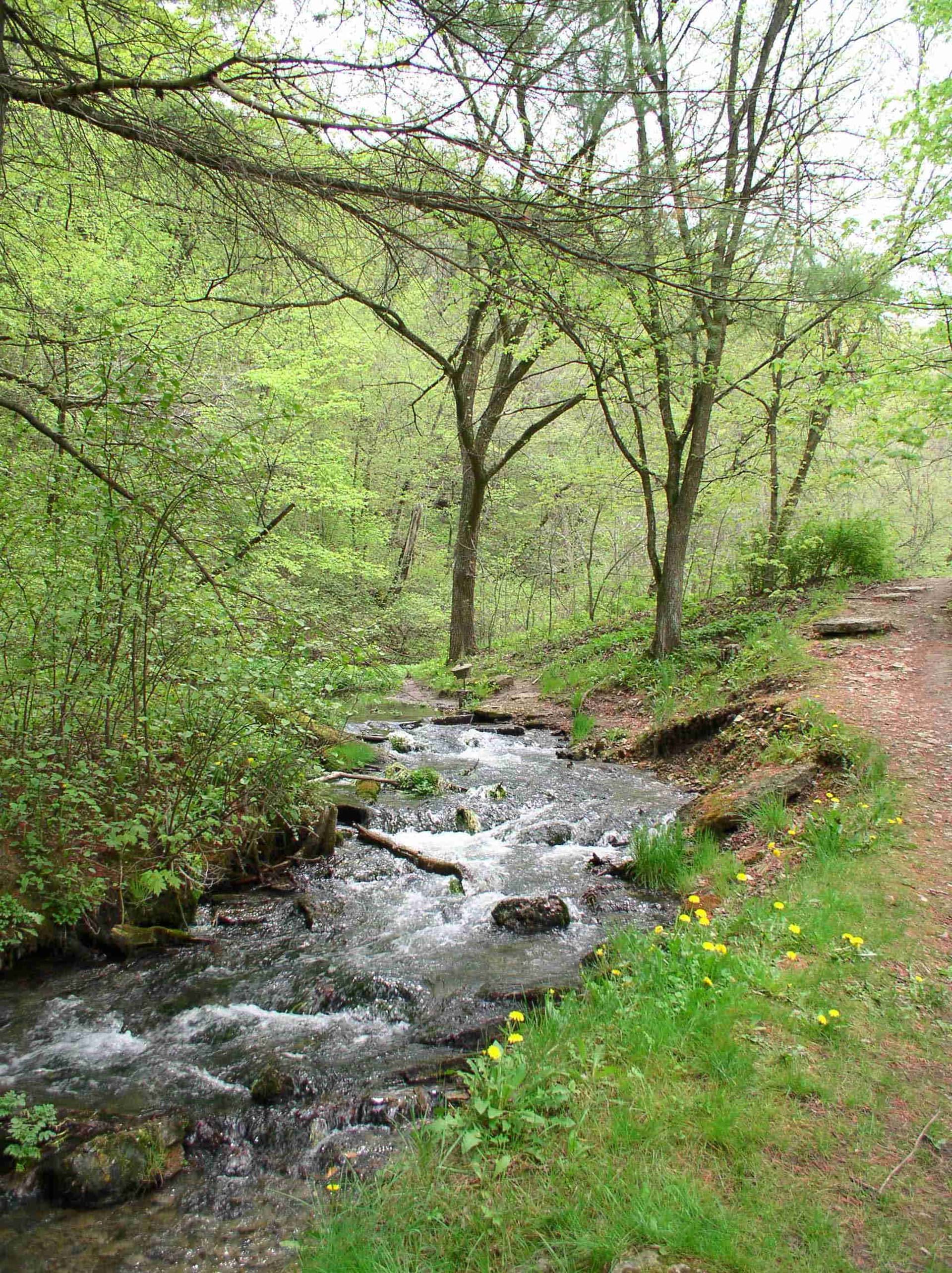 Twin Springs Park