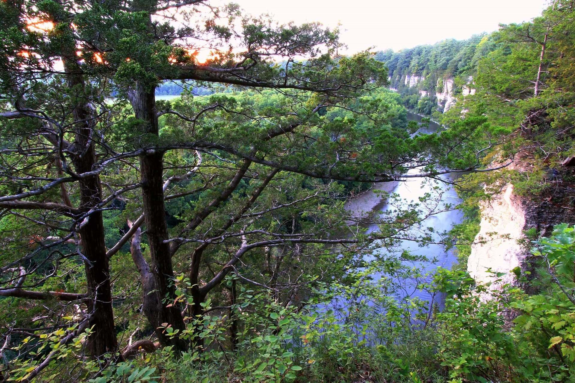 A view from on top of the bluffs through some foliage looking down towards the Upper Iowa river