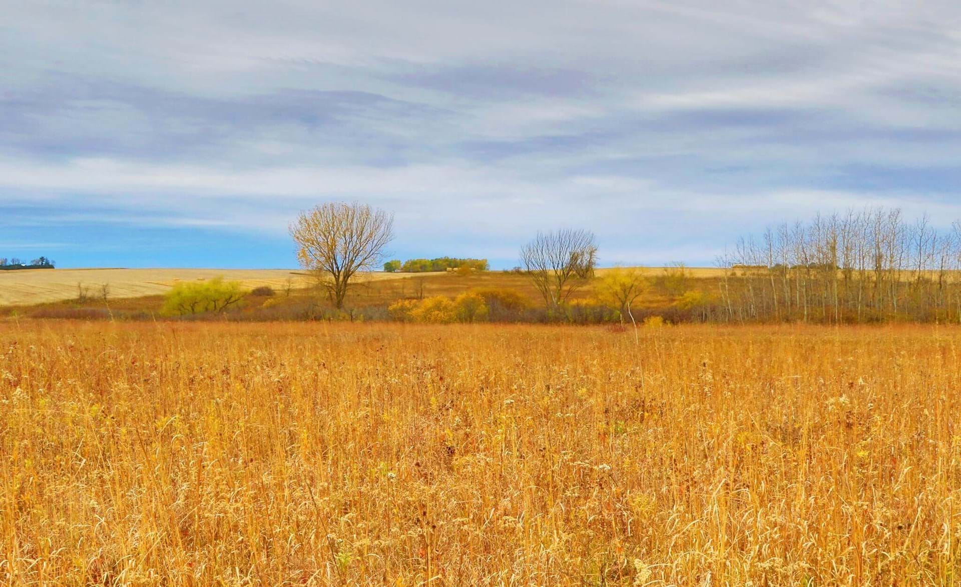 another view of chipera prairie