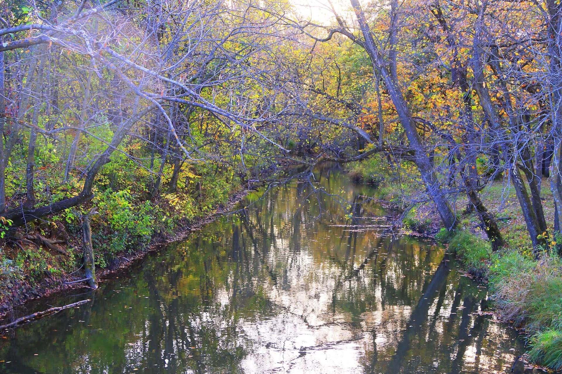 A view of the creek at Ludwig park