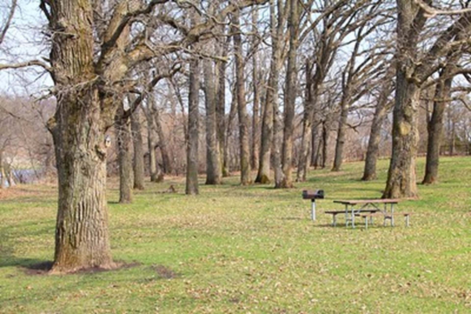 The picnic table at the park near the smallest church 