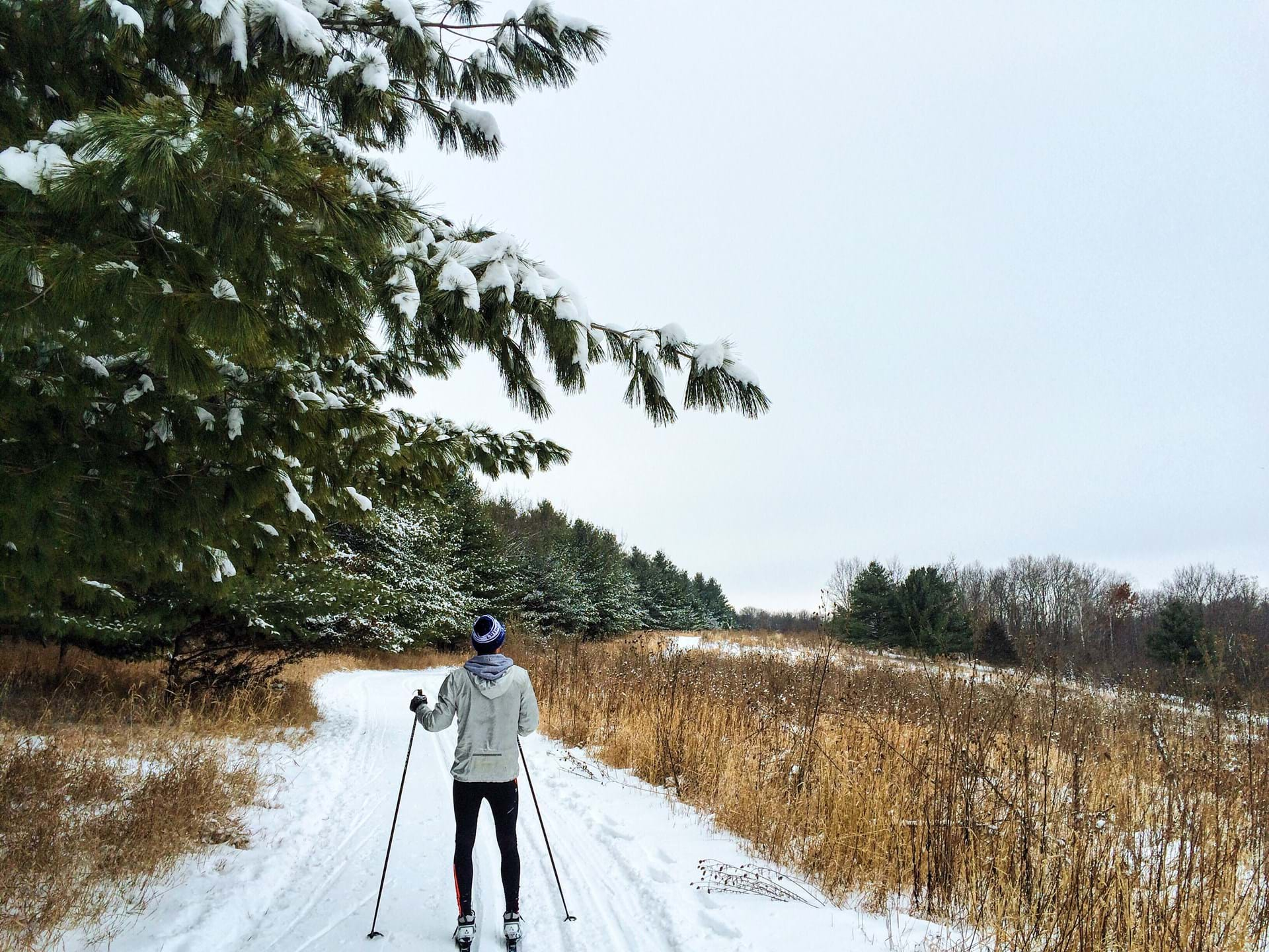 Cross Country Skiing in Van Peenen Park