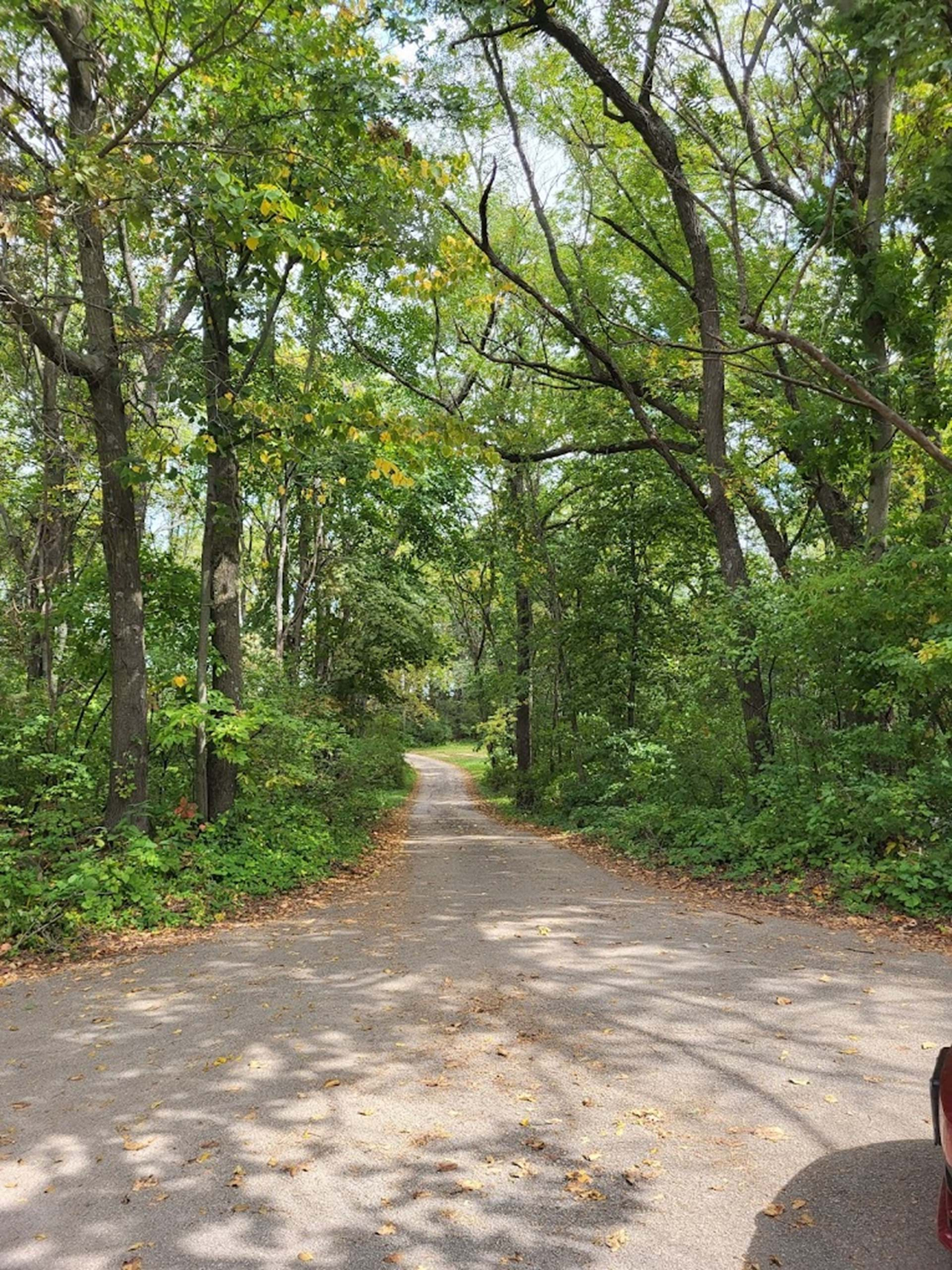 Palisades Park Trail View