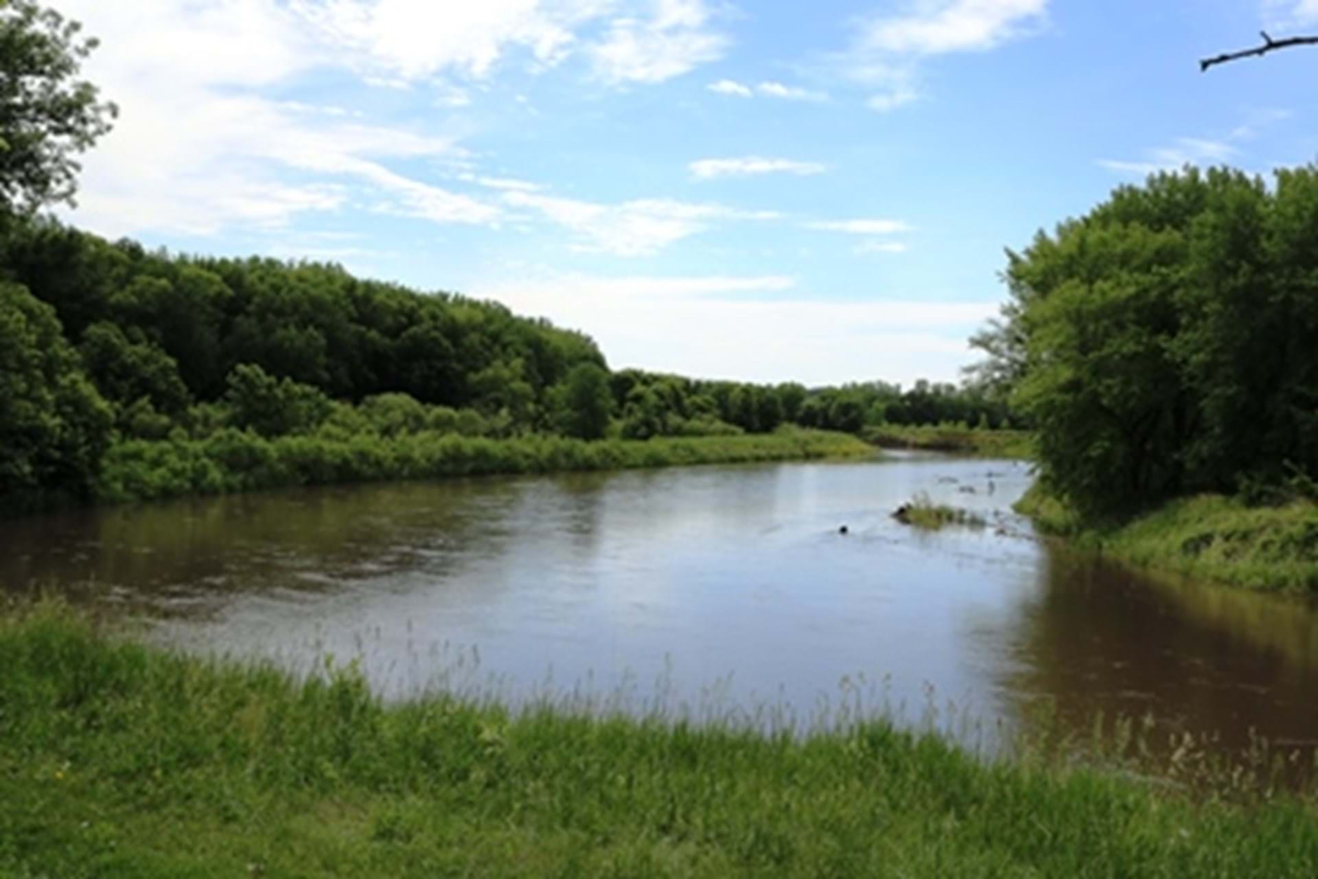 River View