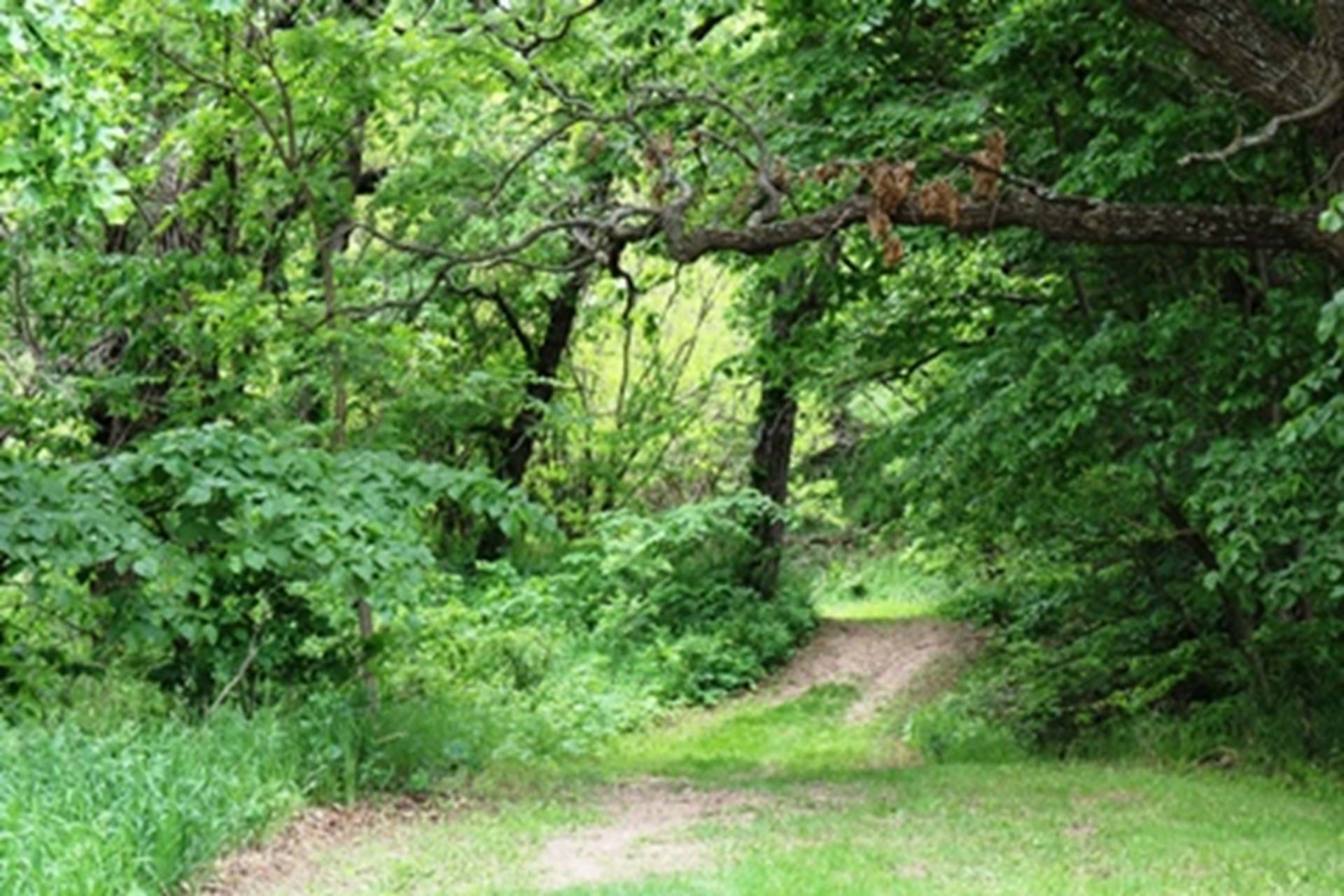 Redtail Ridge trail