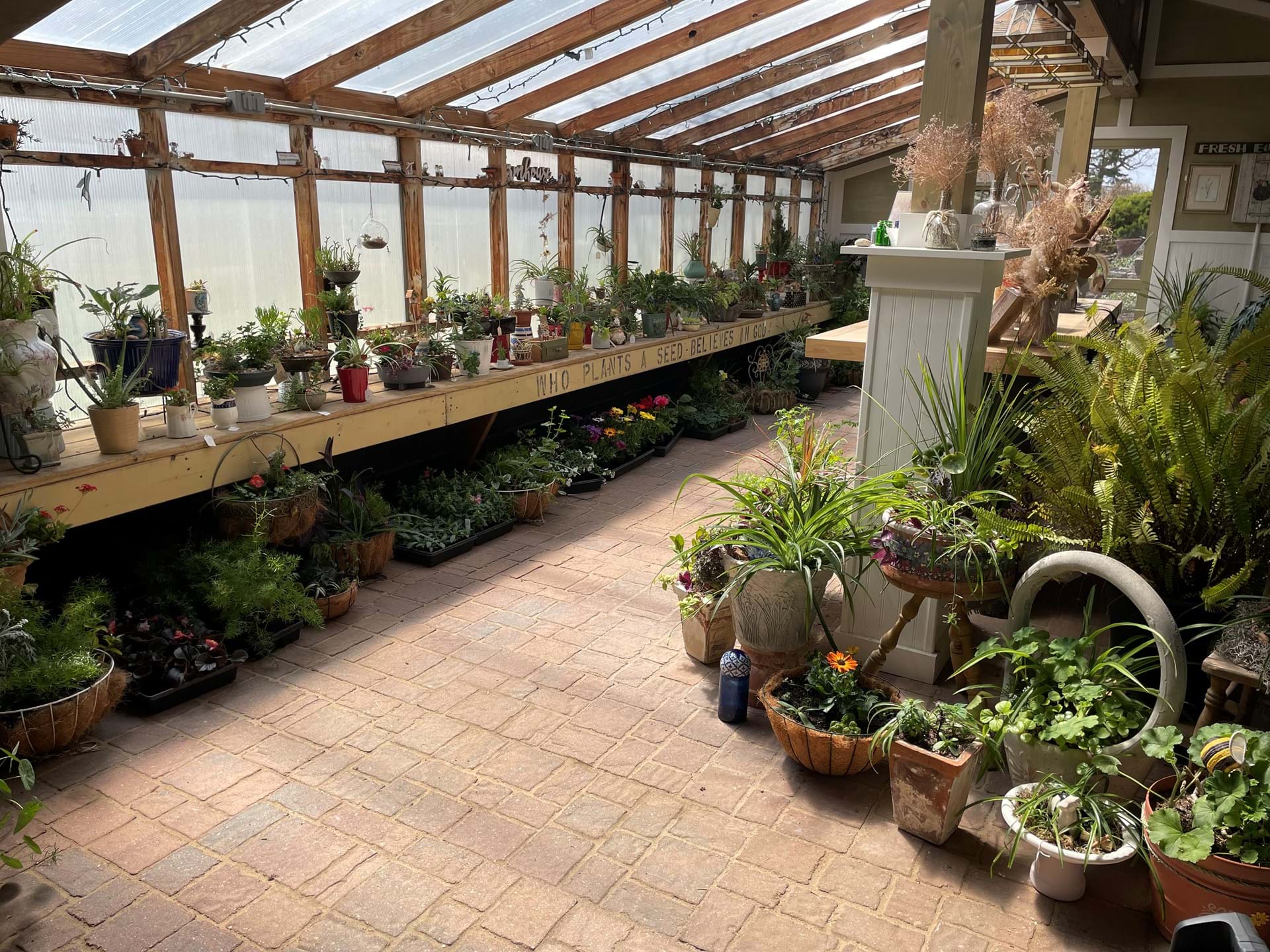 Shop our greenhouse for unique gifts