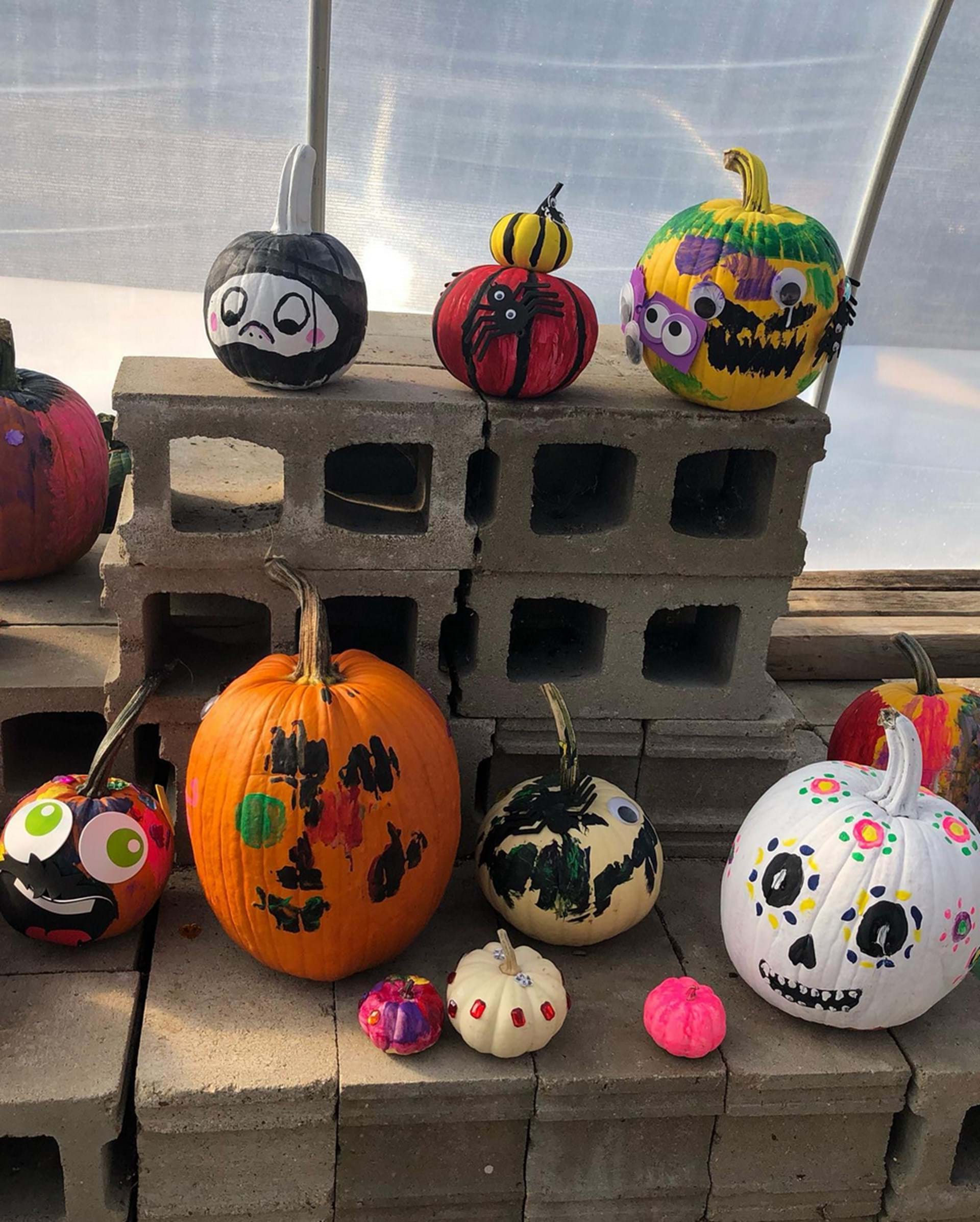 Decorated pumpkins activity