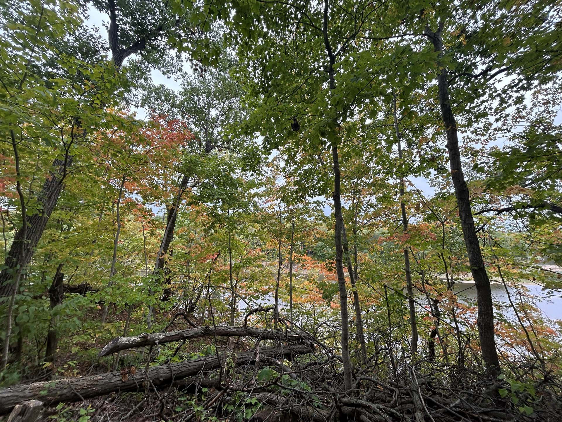 Palisades-Kepler State Park