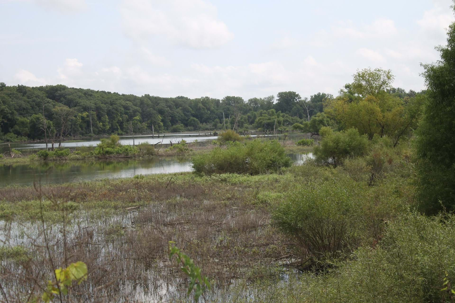 Rose Hill Marsh