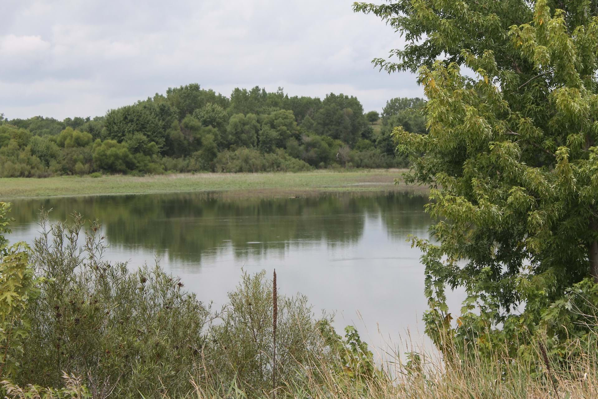 Rose Hill Marsh (2)