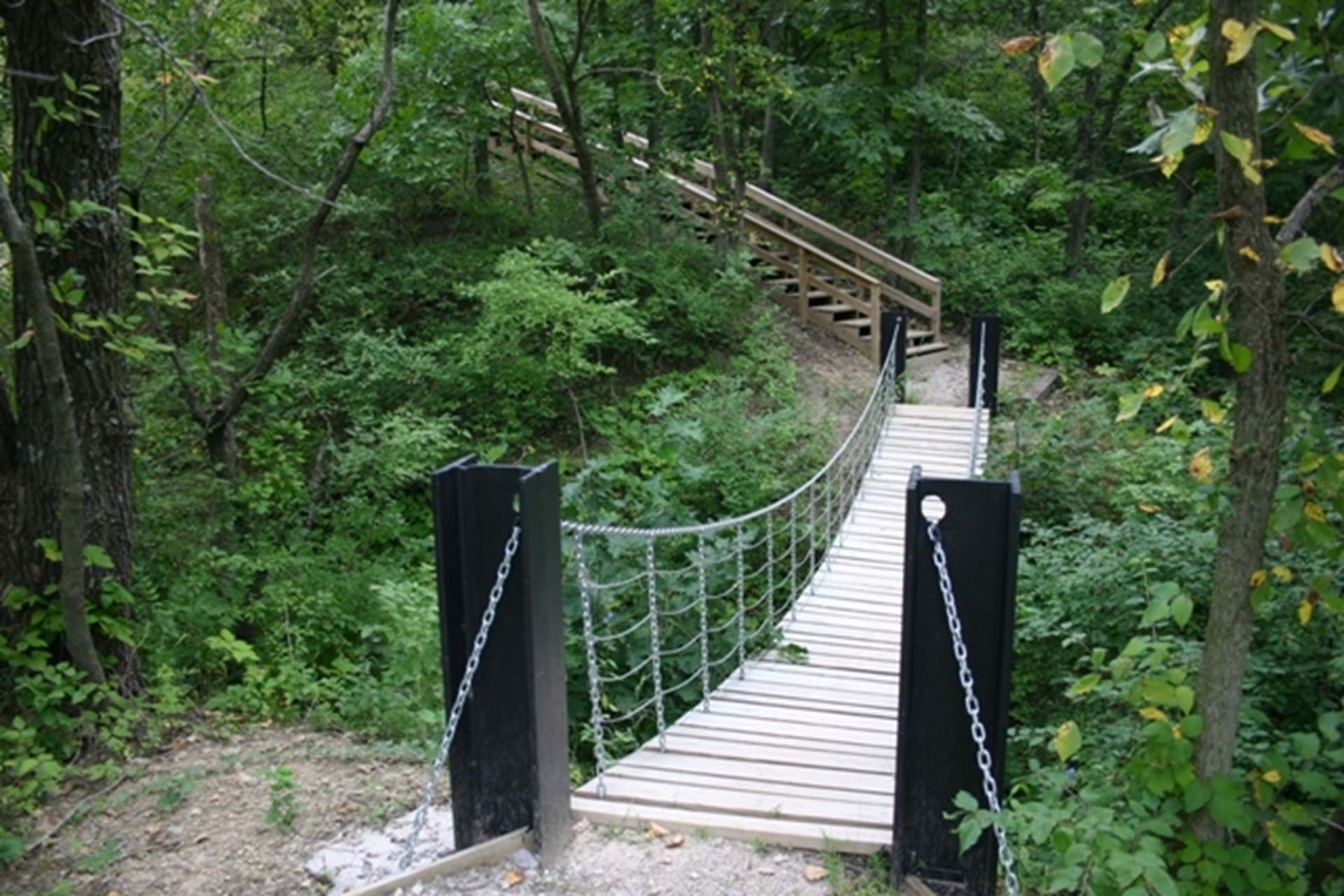 Swinging Bridge